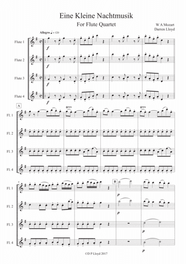 Eine Kleine Nachtmusik - Flute quartet (arr. Darren Lloyd)