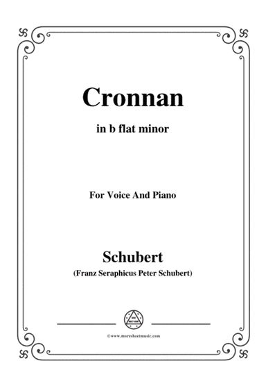 Schubert-Cronnan,in b flat minor,for Voice&Piano (arr. MSM)