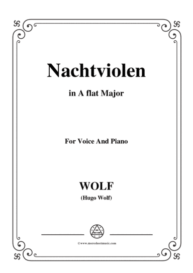 Wolf-Nachtviolen in A flat Major,for Voice and Piano (arr. MSM)