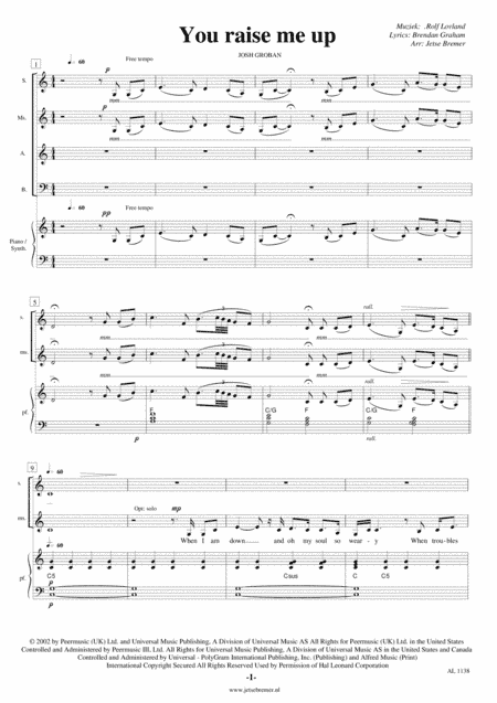 You Raise Me Up (arr. Jetse Bremer)
