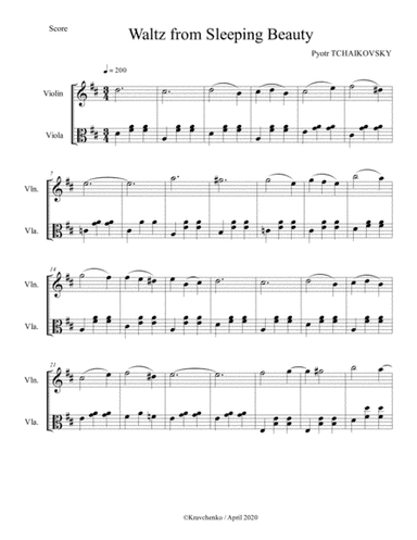 Pyotr Tchaikovsky - Waltz from Sleeping Beauty ballet arr. for string duo (arr. Maksym Kravchenko)
