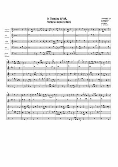 In Nomine no.15 a5 (arrangement for 5 recorders) (arr. Gil Garty)
