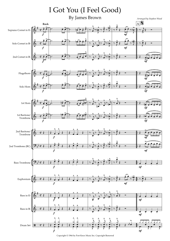 I Got You (i Feel Good) (arr. Stephen Wood)