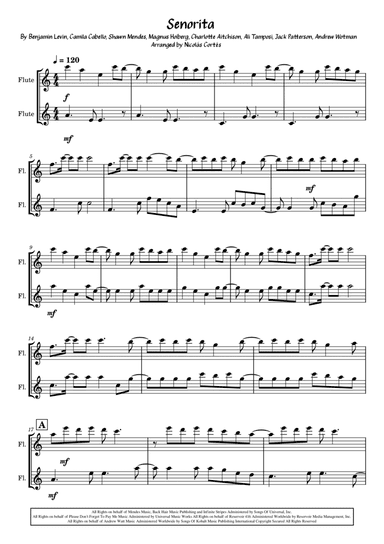 Senorita (arr. Nicolás Cortés Castillo)