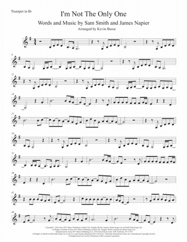 I'm Not The Only One (arr. Kevin Busse)