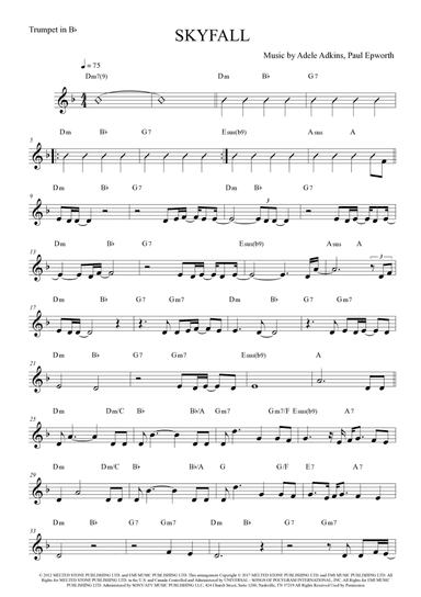 Skyfall (arr. The Sheet Music Library)