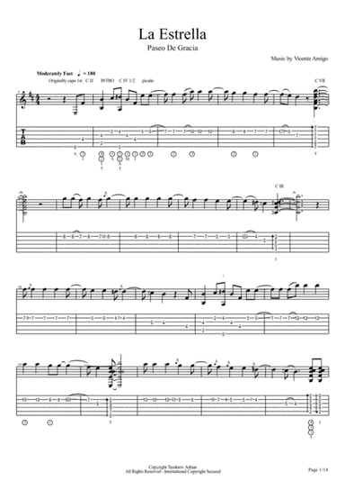 Vicente Amigo - Paseo De Gracia - 9 - La Estrella (arr. Teodorov Adrian)