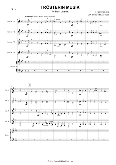 Trösterin Musik (Nachruf) (arr. Sjoerd van der Veen)