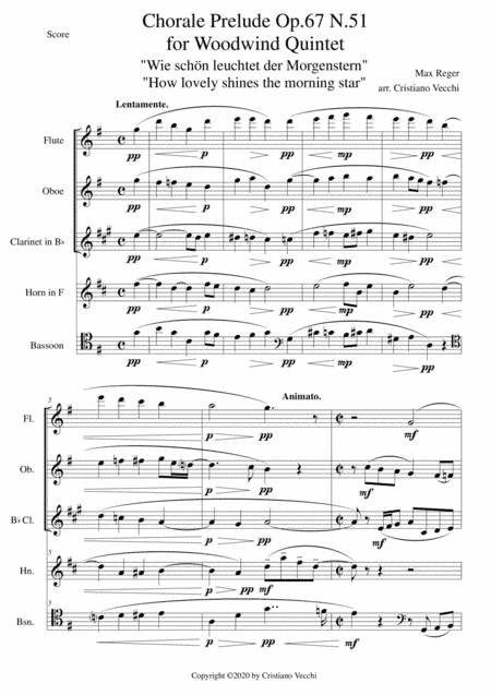 Chorale Prelude Op.67 N.51 for Woodwind Quintet (arr. Cristiano Vecchi)