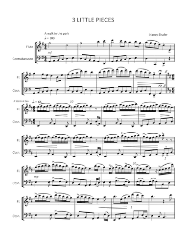 3 Little Pieces for Flute and Contrabassoon