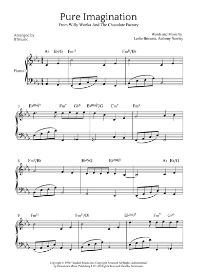 Pure Imagination (arr. BTmusic)