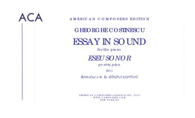 [Costinescu] Essay in Sound