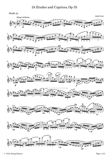 DONT 24 Etudes and Caprices Op35, for Violin No 22 (arr. String Masters)