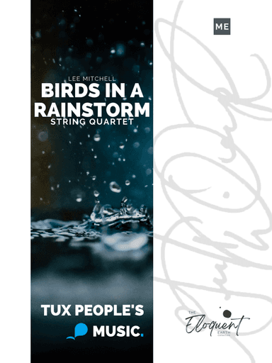 Birds in a Rainstorm