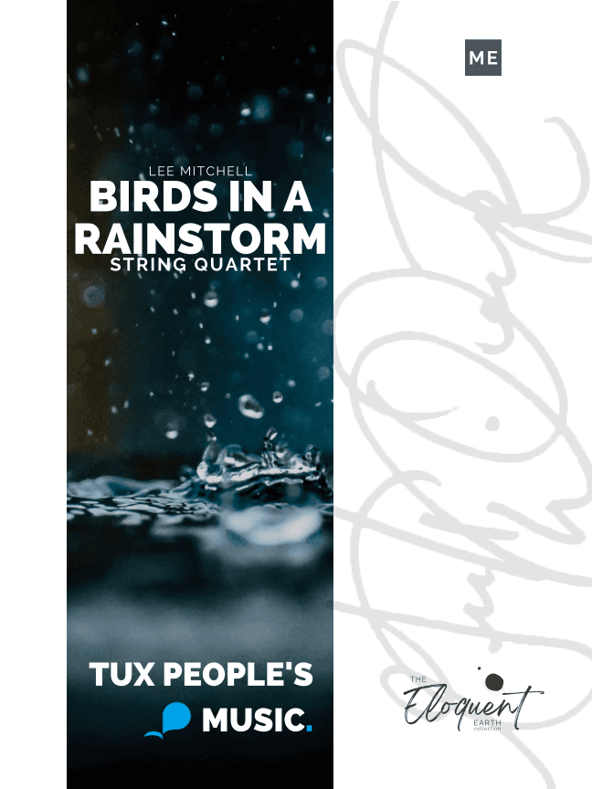 Birds in a Rainstorm