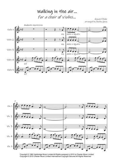 Walking In The Air (arr. Shelley Gray)