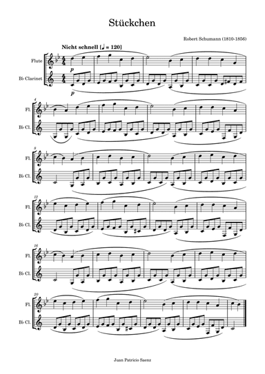 Schumann, R: Album for the Young - Stückchen - Flute and clarinet duo (arr. Juan Patricio Saenz)