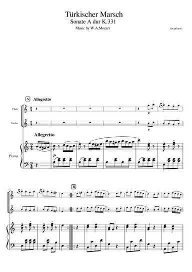 "Turkish March K.331 " piano trio / flute & violin (arr. pfkaori)
