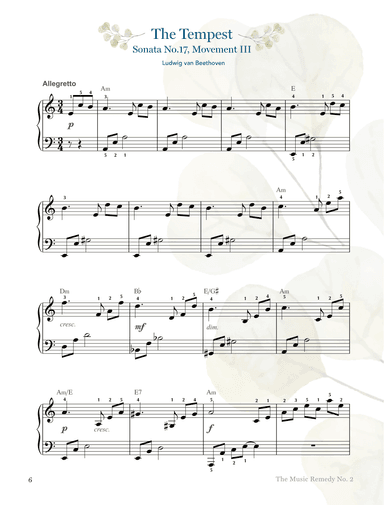 " The Tempest" - Beethoven's Sonata No. 17 Movement III (arr. Gaili Schoen for TheMusicRemedy.com)