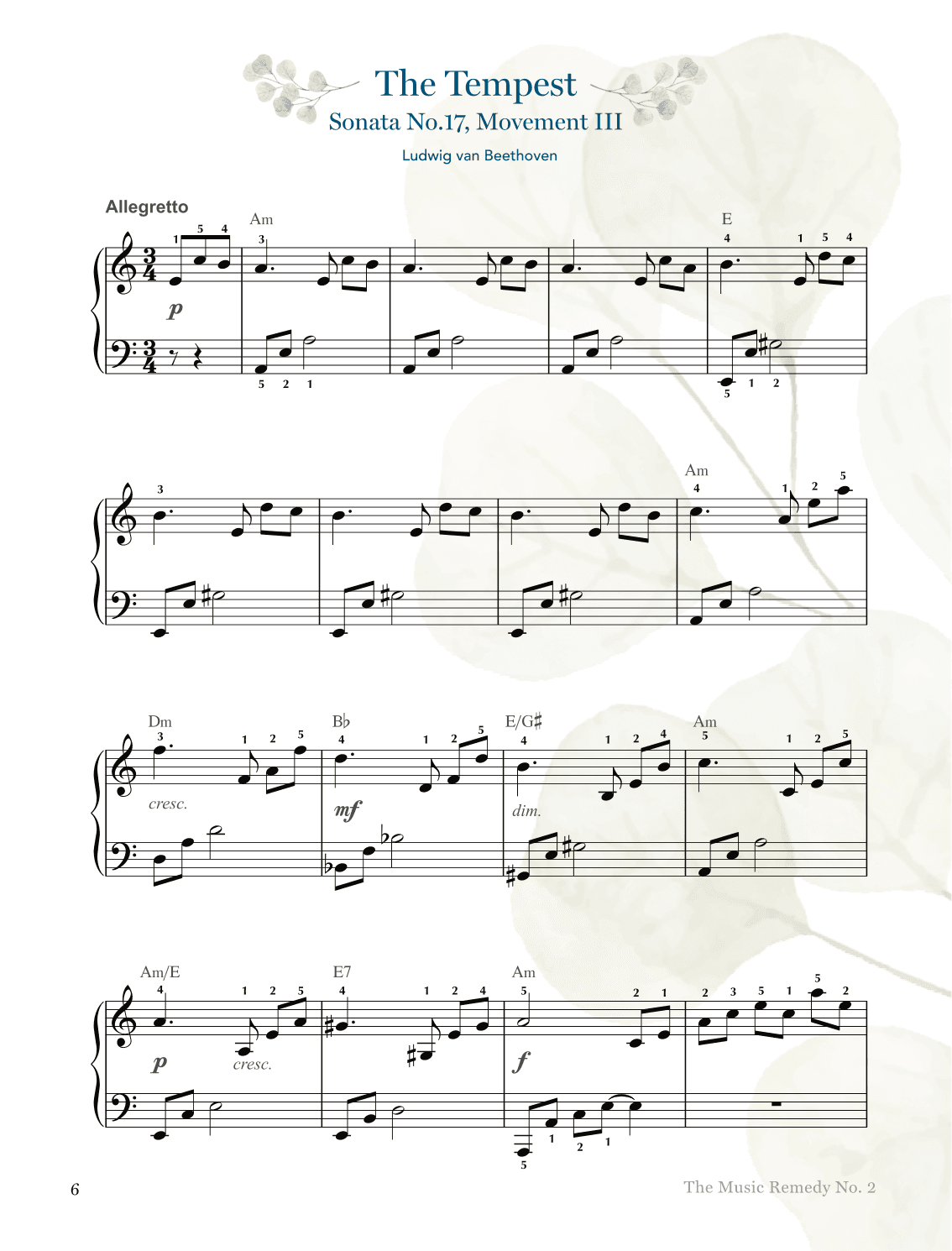 " The Tempest" - Beethoven's Sonata No. 17 Movement III (arr. Gaili Schoen for TheMusicRemedy.com)
