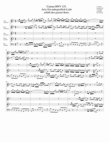 Aria: Ein unbegreiflich Licht erfuellt den ganzen Kreis from Cantata BWV 125 (Version in B flat majo (arr. Gil Garty)