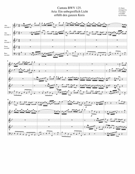 Aria: Ein unbegreiflich Licht erfuellt den ganzen Kreis from Cantata BWV 125 (Version in B flat majo (arr. Gil Garty)