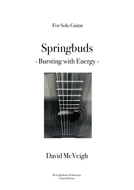 Springbuds - Solo Guitar