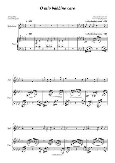 O mio babbino caro - for Xilophone with Piano accompaniment - orchestral play along (arr. Samuel Sequeira)