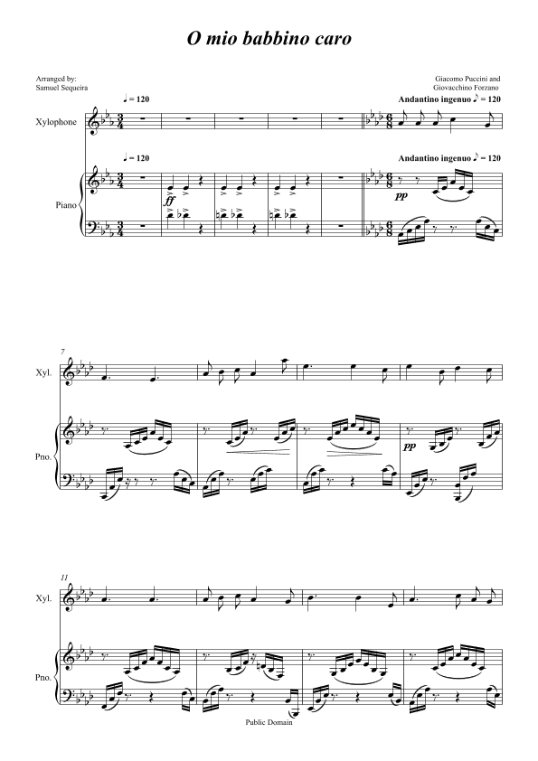 O mio babbino caro - for Xilophone with Piano accompaniment - orchestral play along (arr. Samuel Sequeira)