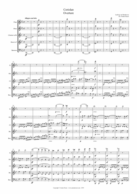 Coriolan Overture (arr. Armin Terzer)