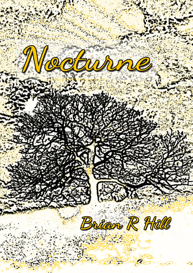 Nocturne