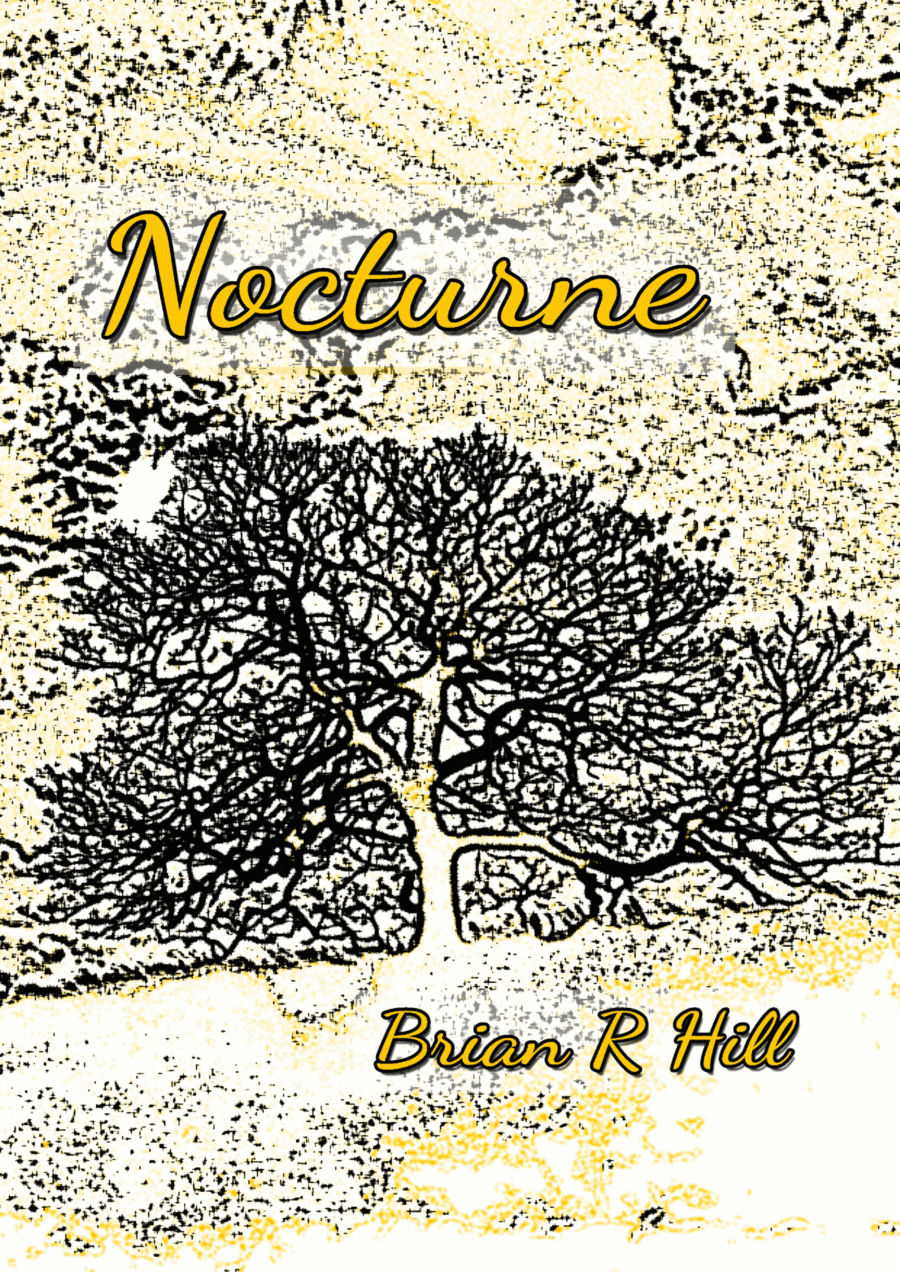 Nocturne