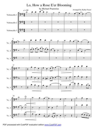 Lo, How a Rose E'er Blooming for Cello Trio (arr. Katherine Fraser)