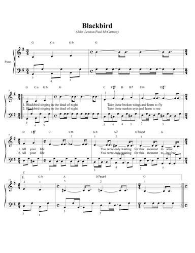 Blackbird (arr. Classic Hits: Authentic Arrangements)