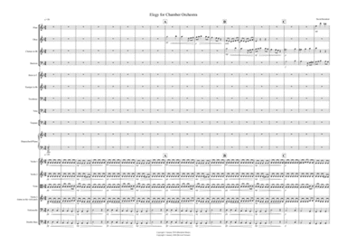 Elegy for Chamber Orchestra
