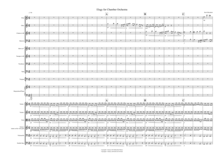 Elegy for Chamber Orchestra