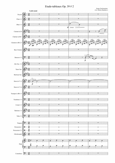 Etude-tableaux Op.39 # 2 (arr. Dmitry Budnikov)