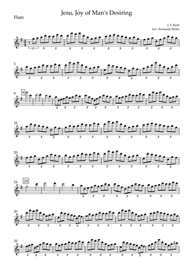 Jesu, Joy of Man's Desiring (J. S. Bach) for Flute Solo (arr. Fernando Britto)