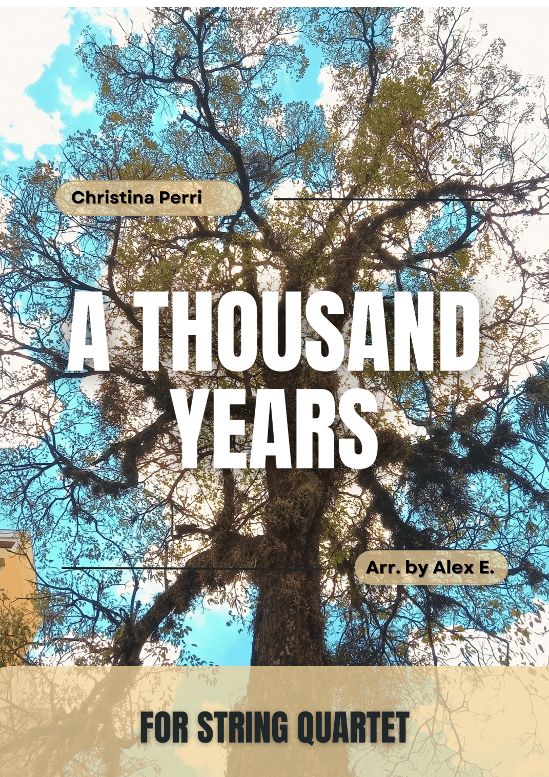 A Thousand Years (arr. Alex E.)