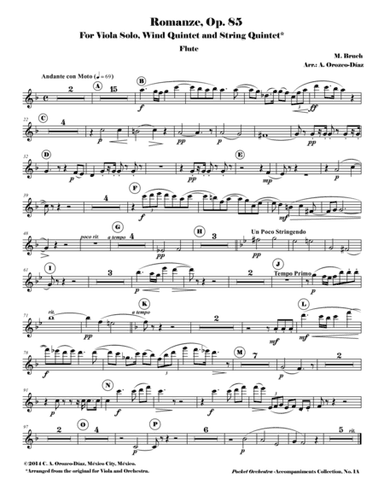 Bruch - Romanze for Viola and Orchestra, Op. 85 (Accompaniment Reduction for Wind Quintet & String Q (arr. C. A. Orozco-Diaz)