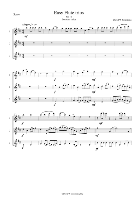 Drunken Sailor for flute trio (arr. David Warin Solomons)