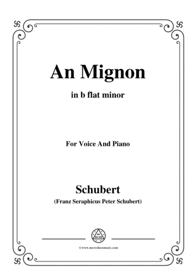 Schubert-An Mignon(To Mignon),Op.19 No.2,in b flat minor,for Voice&Piano (arr. MSM)