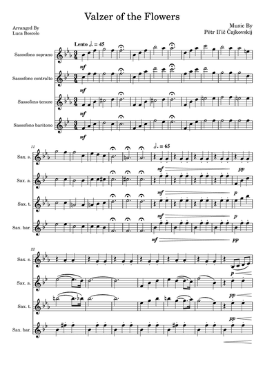 Valzer of the Flowers (arr. Luca Boscolo)