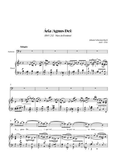Aria (Agnus dei) from the Mass in B Minor (BACH) - Baritone_Am (arr. André Alberto Santos)