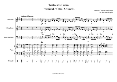 Tortoises for Percussion (arr. Zachary Broyles)