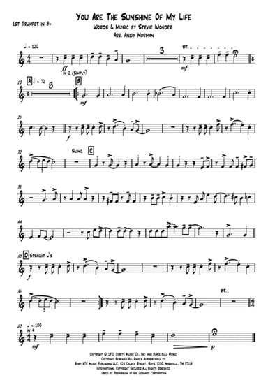 You Are The Sunshine Of My Life (arr. Andy Norman)