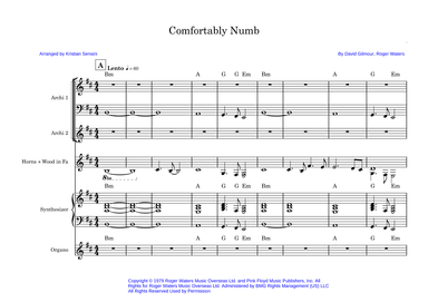 Comfortably Numb (arr. Kristian Sensini)