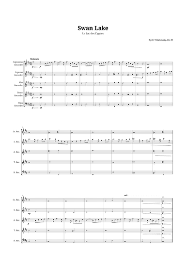 Swan Lake by Tchaikovsky for Recorder Quintet (arr. Ander)