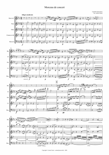 Morceau de concert op.94 (arr. Armin Terzer)