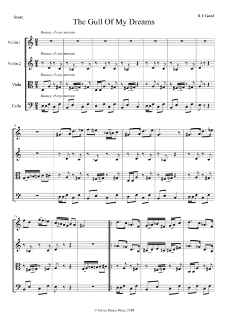 The Gull Of My Dreams